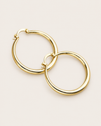Chunky Gold Hoops